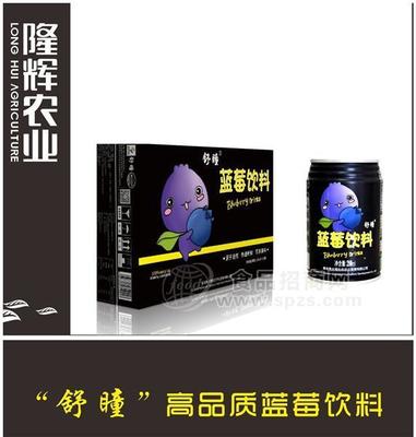 隆輝農(nóng)業(yè)經(jīng)典級(jí)藍(lán)莓酒