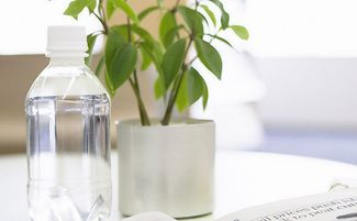 上班族必知的幾種職場(chǎng)風(fēng)水