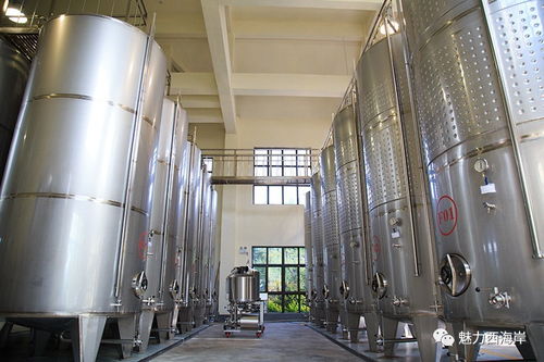 搶 雙十一 規(guī)模全國(guó)前三 西海岸本土紫斐藍(lán)莓酒不減價(jià)不狂歡 壕氣送送送